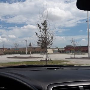 Meet your Posher, Wendy